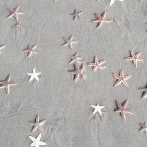 Meet your Posher, Nicolette